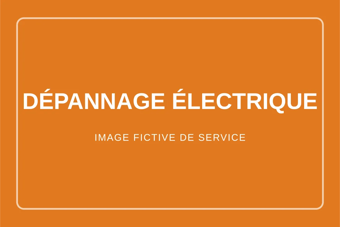 Visuel fictif de test pour le service de dépannage électrique